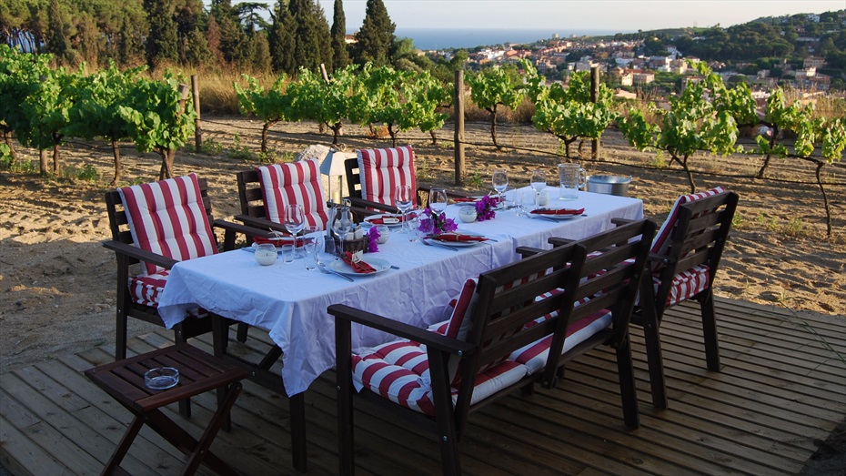 A good breakfast in the middle of the Bouquet d'Alella vineyards, with the sea in the background