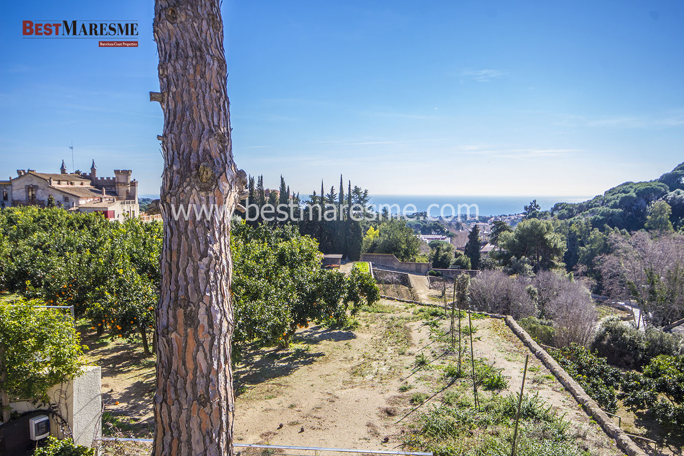 Spectacular sea and vineyards fields views